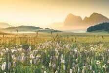 我的便利店下载九游-我的便利店和九游的那些事儿